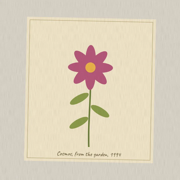 A scanned page with a pressed pink cosmos flower, from the garden, 1994