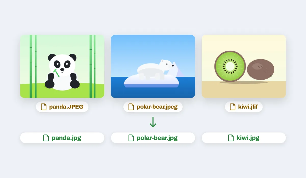 Three files, panda.JPEG, polar-bear.jpeg and kiwi.jfif, coming back as panda.jpg, polar-bear.jpg and kiwi.jpg