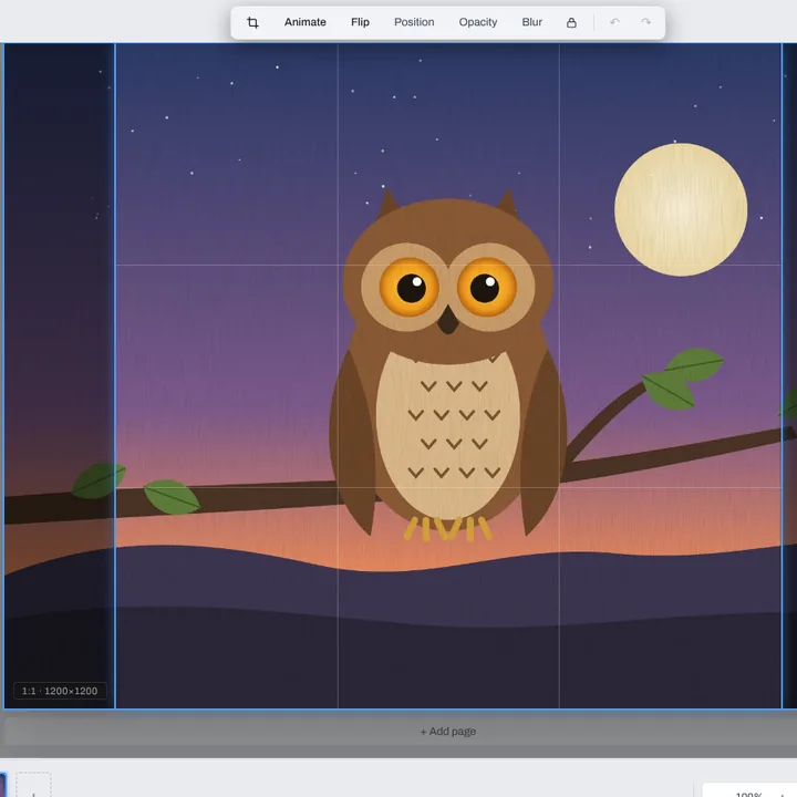The owl picture in the crop window, a square 1:1 frame of 1200 by 1200 drawn over it