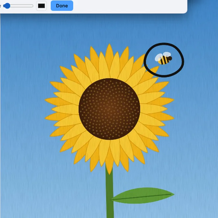 A ring drawn with the Pen around the bee beside the sunflower