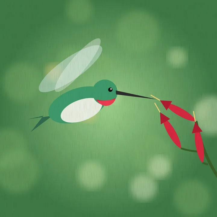 A hummingbird with a red throat sipping from red flowers