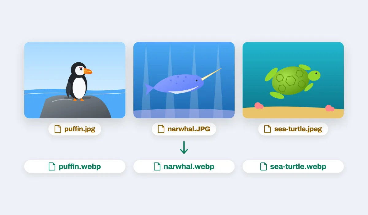 Three photos, puffin.jpg, narwhal.JPG and sea-turtle.jpeg, coming back as puffin.webp, narwhal.webp and sea-turtle.webp