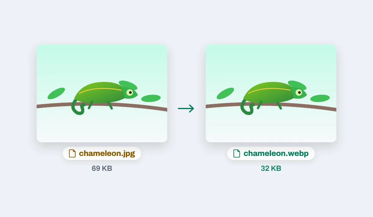 A chameleon on a branch, chameleon.jpg and the lighter chameleon.webp side by side with their sizes