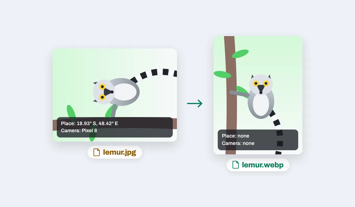 A lemur photo stored on its side as lemur.jpg with its place and camera, and upright as lemur.webp with neither
