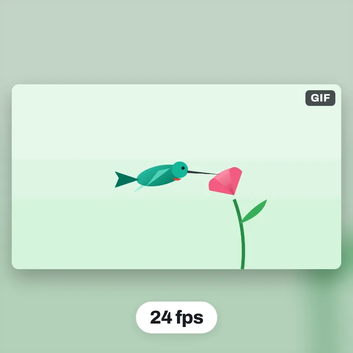 A hummingbird hovering at a pink flower, its wings saved at 24 frames a second