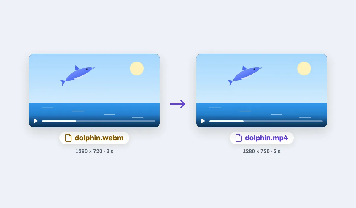 A dolphin leaping from the sea, the WebM and the MP4 made from it side by side at the same size and length