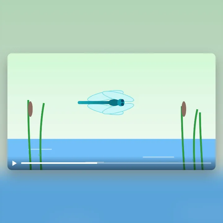 A dragonfly over a pond, a clip saved as MP4 for a social post