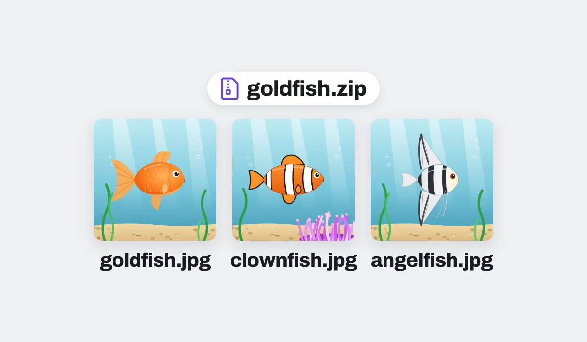 Three fish pictures saved as WebP files, downloaded as JPEG files in one zip, goldfish.zip, each named after its file: goldfish.jpg, clownfish.jpg and angelfish.jpg