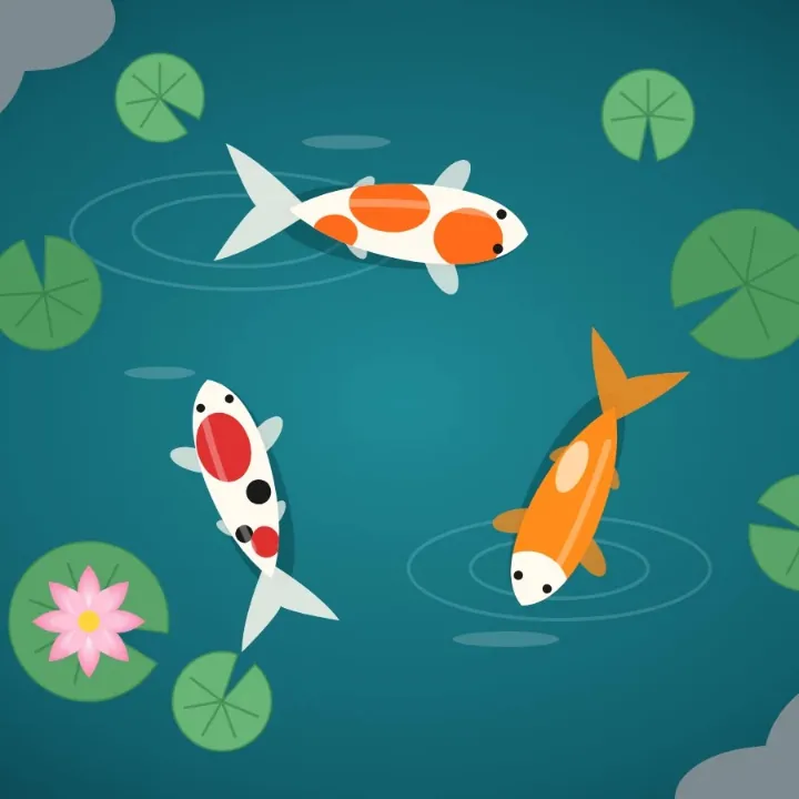 Three koi swimming among lily pads and a pink lotus in a teal pond, saved as a WebP, as a JPEG