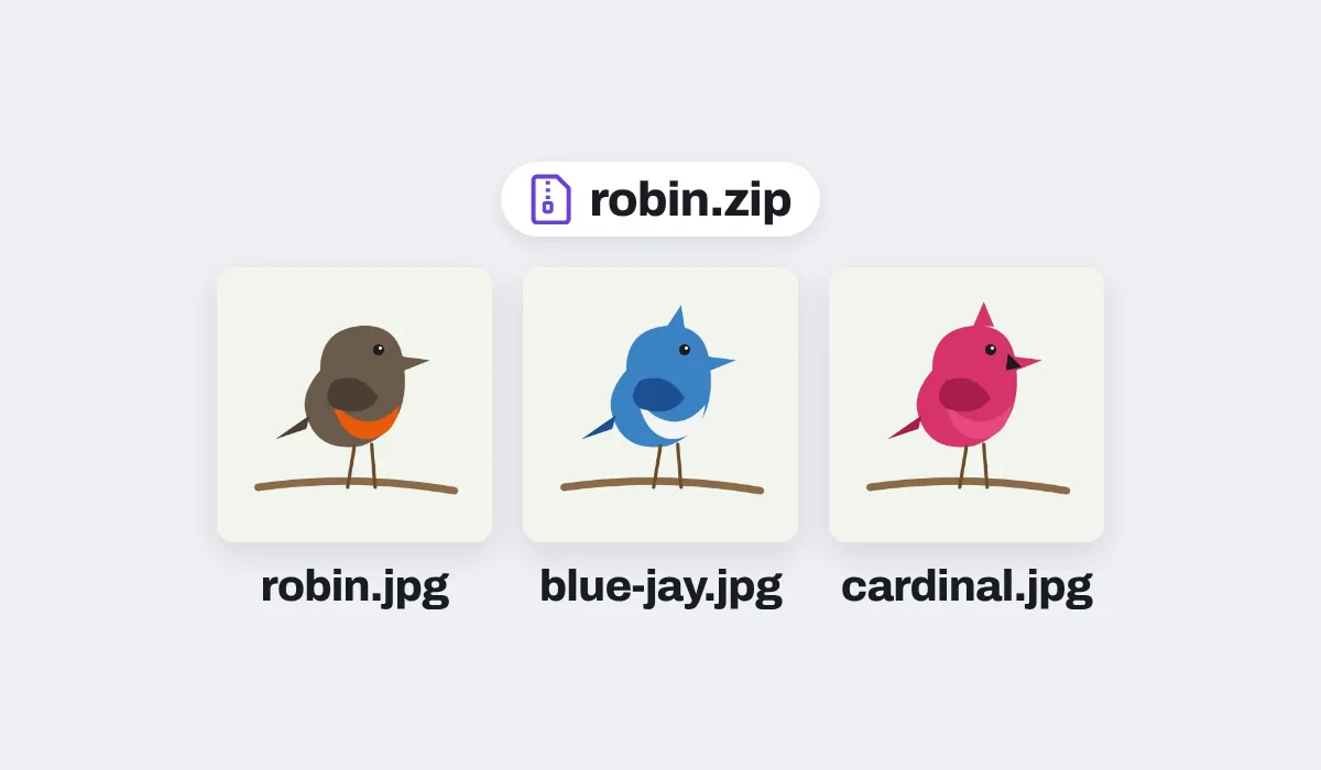 Three bird pictures saved as WebP files, downloaded as JPGs in one zip, robin.zip, each named after its file: robin.jpg, blue-jay.jpg and cardinal.jpg