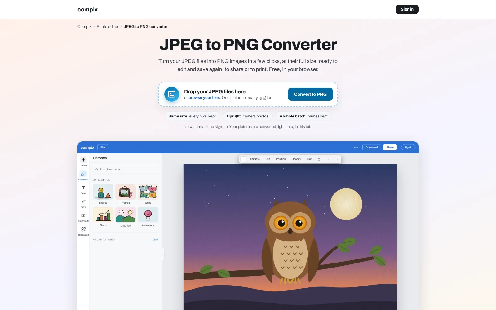 The Compix JPEG to PNG page, its editor picture showing an owl on a branch at dusk, opened from a JPEG file
