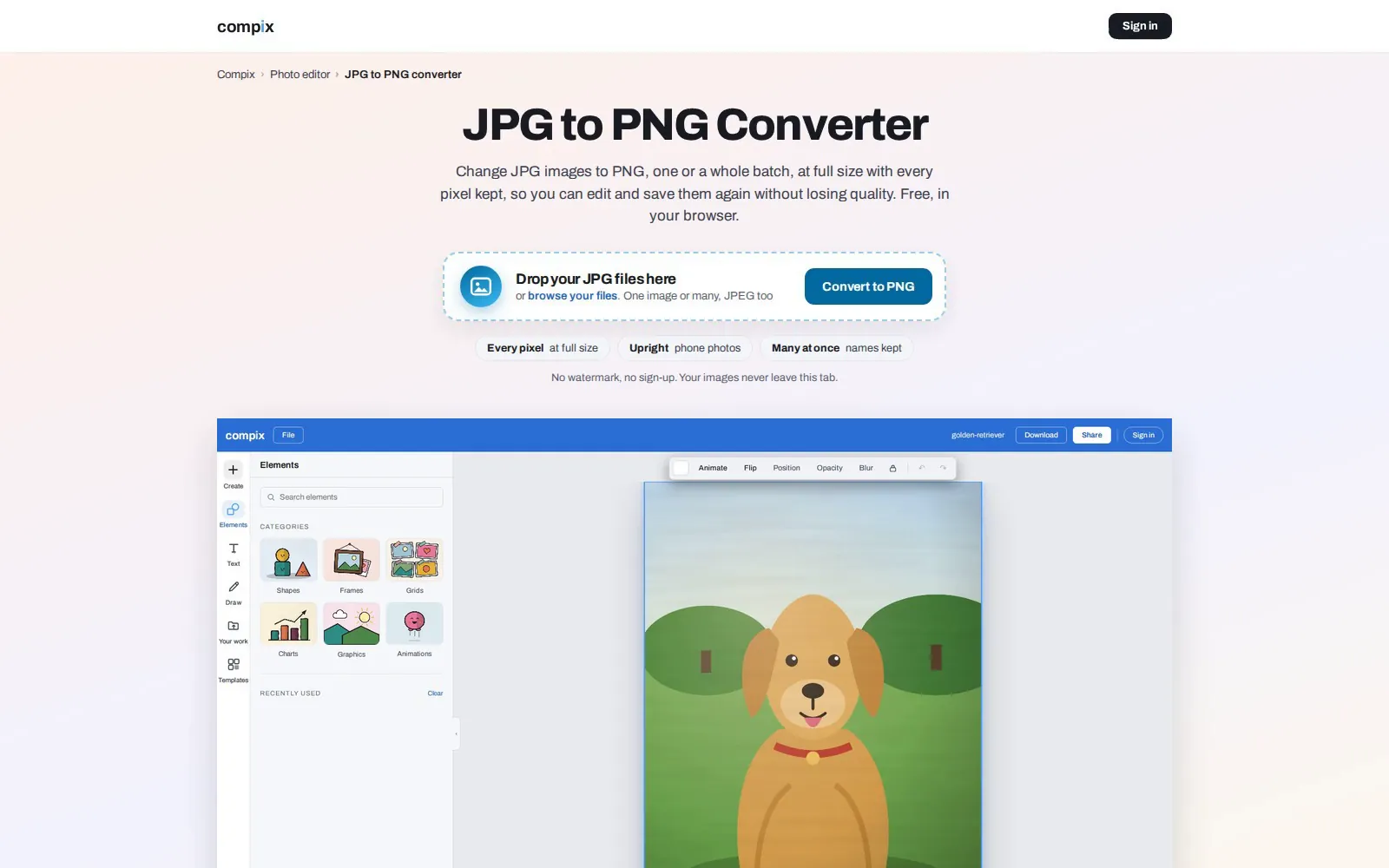 The Compix page for JPG to PNG, its editor picture showing a photo of a golden retriever in a park opened from a JPG file