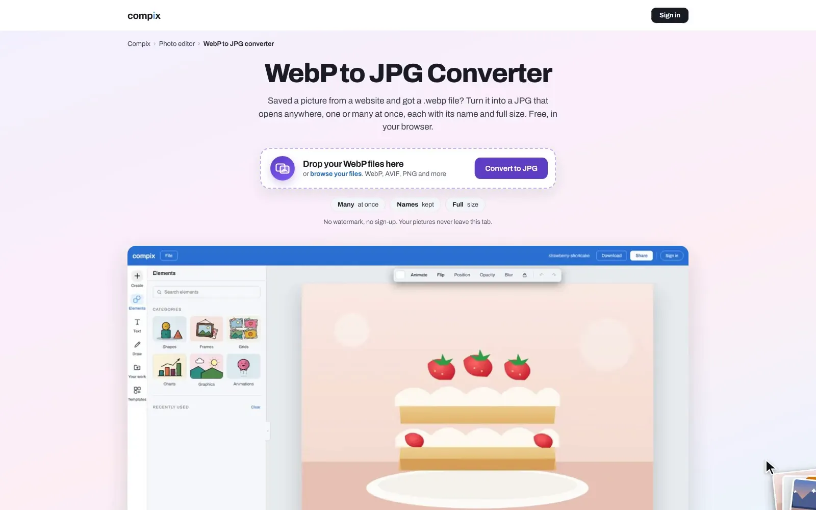 The WebP to JPG converter page, its editor picture showing three pictures saved from websites as WebP files in the Compix editor, a page for each: a strawberry shortcake on the page, and a yellow rain jacket and a mountain lake at sunset in the strip below