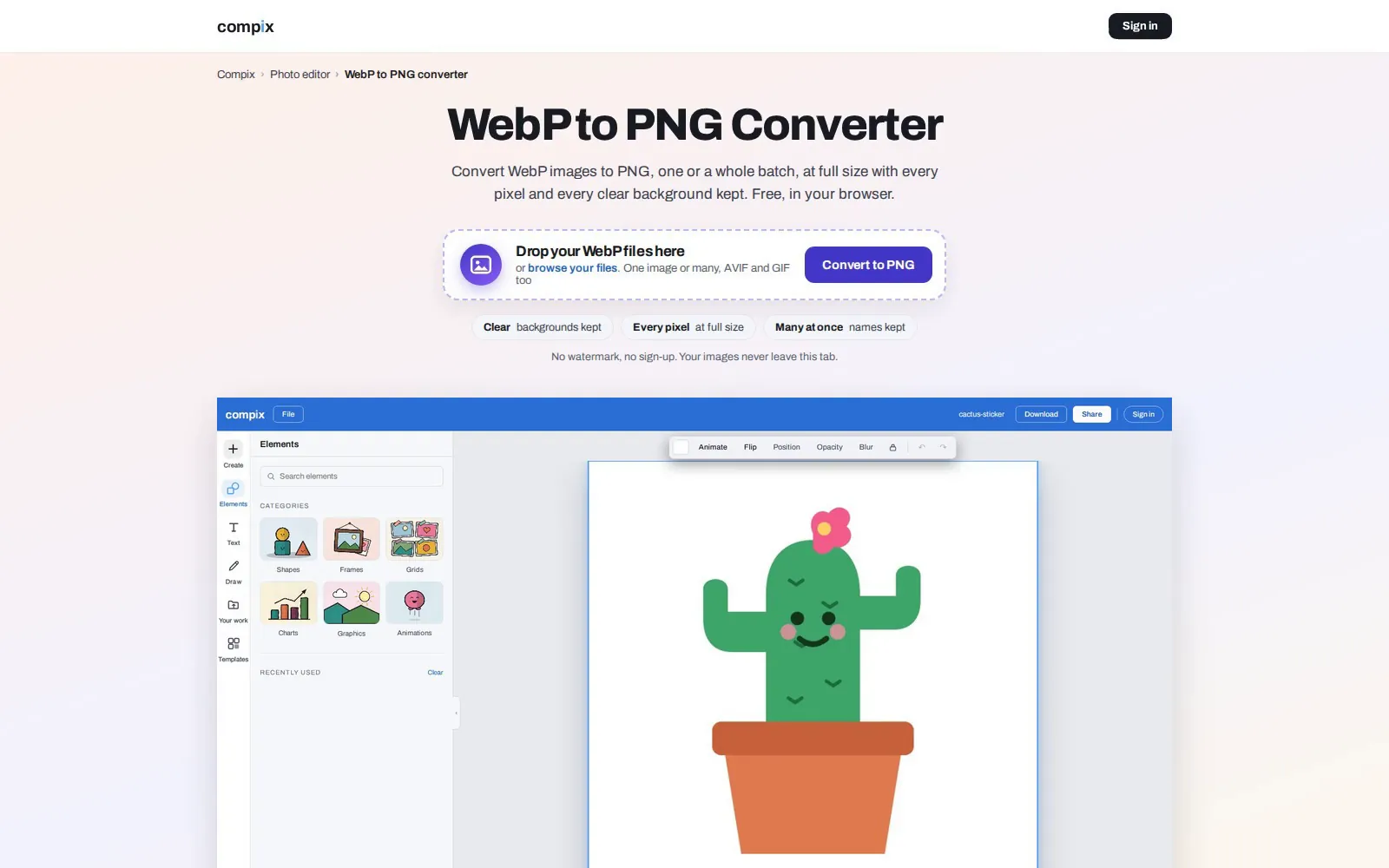 The Compix page for WebP to PNG, its editor picture showing a cactus sticker opened from a WebP file